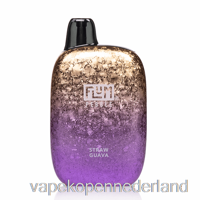 Vape Nederland Flum Kiezel 6000 Wegwerp Aardbeiguave